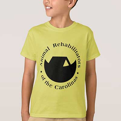 Orca Project - Image 4